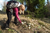 93 Marylù e i fiori